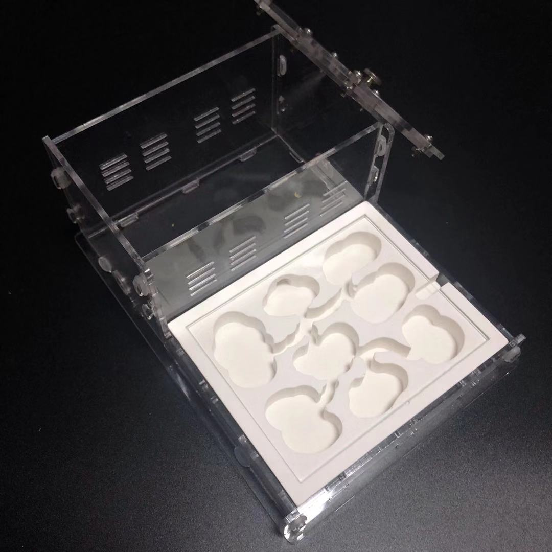 White ant formicarium ant farm
