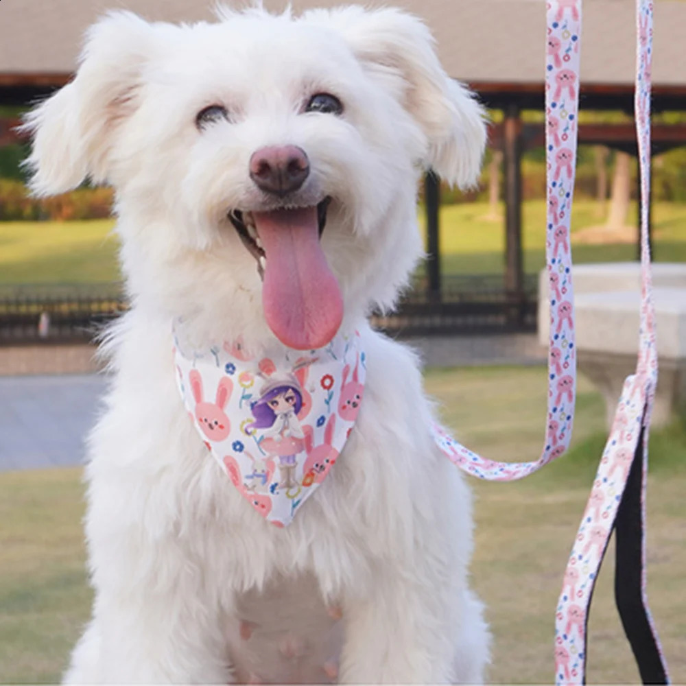 Christmas pet Bandanas collar and belt set used for dogs cats Halloween puppies dog scarves collars mascot costumes and supplies 240914