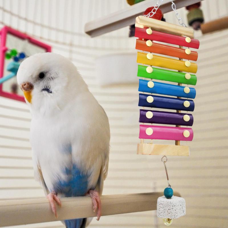 Parrot Educational Chicken Xylophone Toy For Hens Suspensible Wooden Chicken Coop Chew Pecking Toy Macaw Training Play