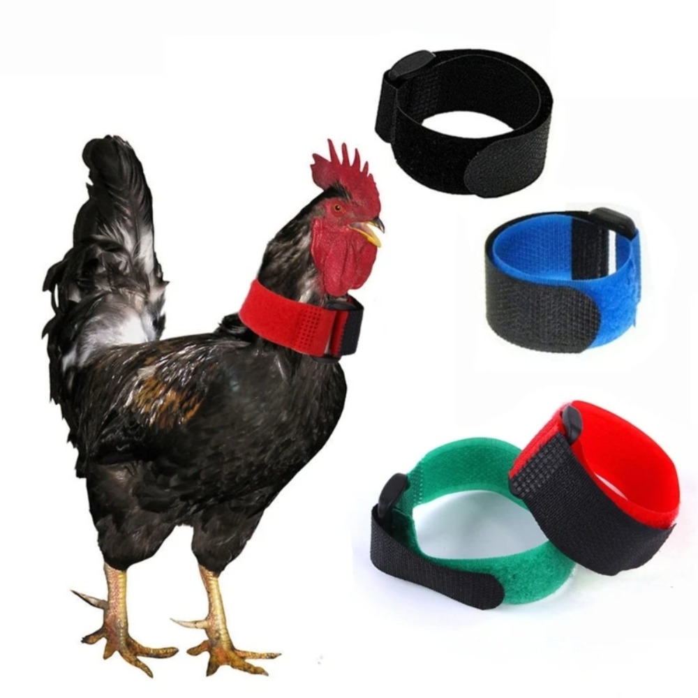2 pcs New No Noise Rooster Neck Belt Anti-crowing Adjustable Nylon Anti Crow Collar Safe Poultry Collar