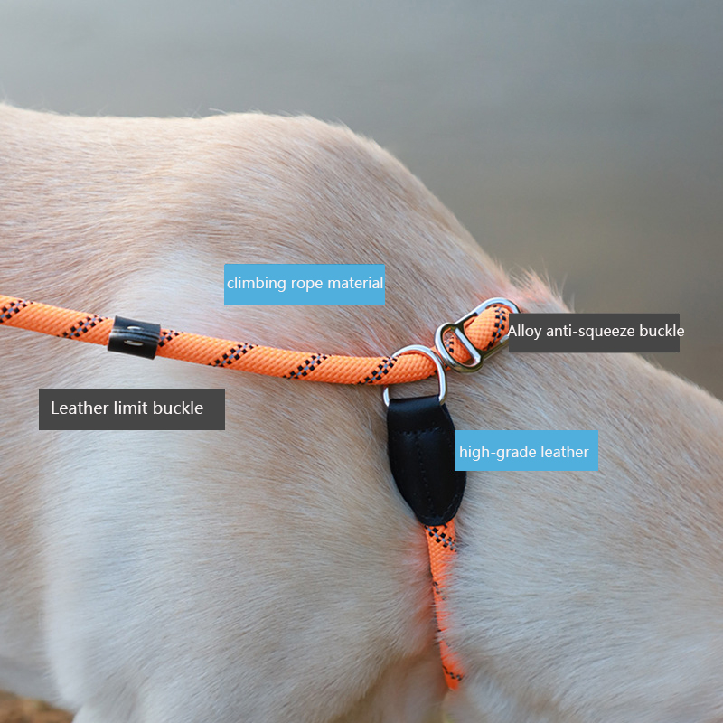 P Chain Dog Leash ,large Pet One-piece Reflective Leash Anti-winding for Medium Large Dog Training and Dog Walking Pet Supplies