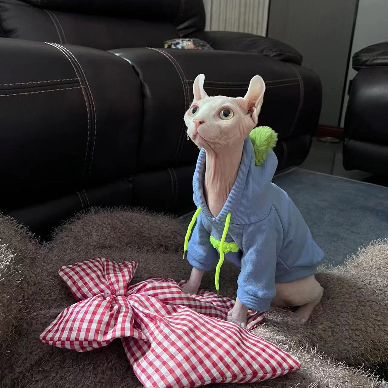 Fashion Blue Hoodie Sweater for Cat 2-legged Winter Coat for Sphynx Warm Sweatshirt for Kittens Soft Loungewear for Devon Rex