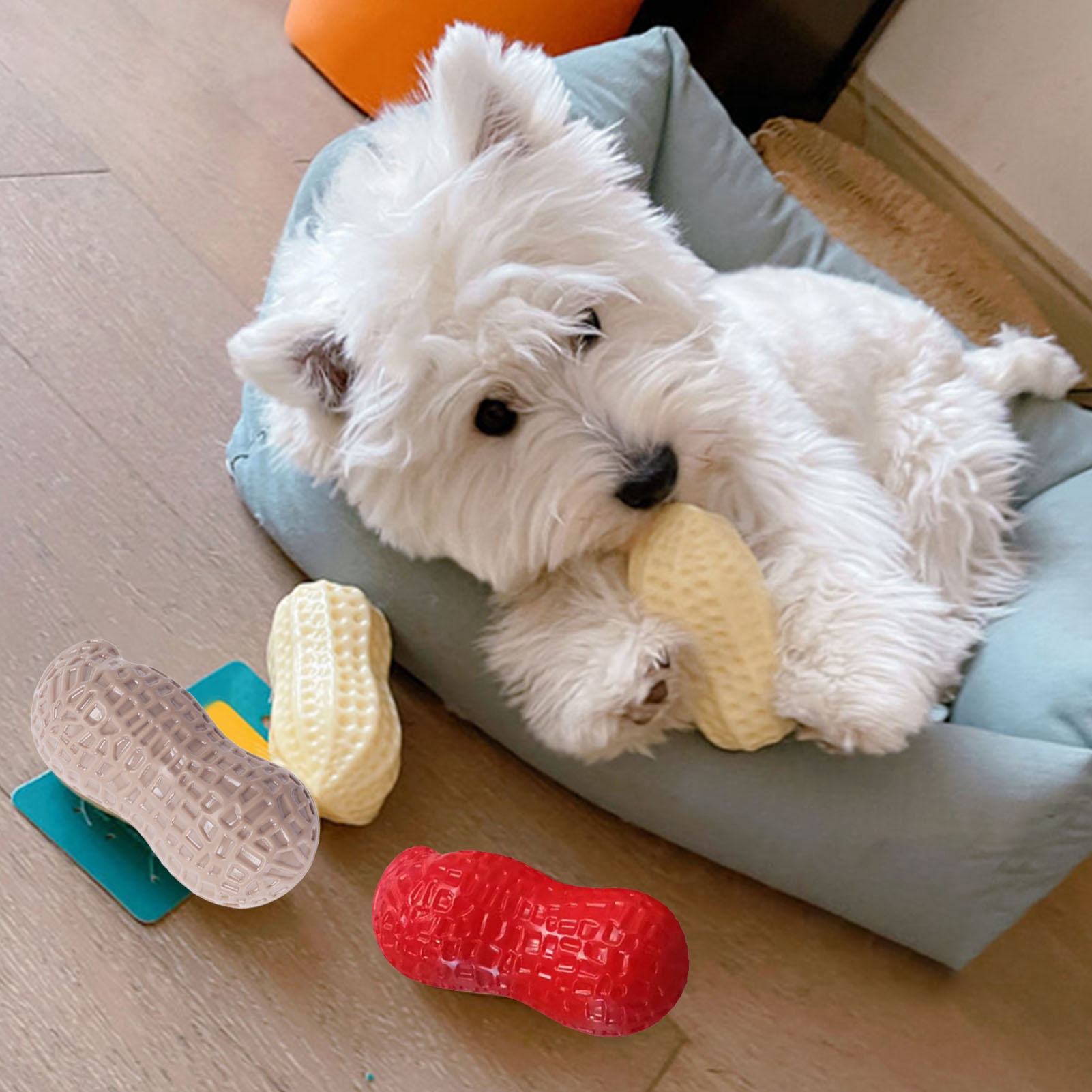 Dog Squeaky Toy Teeth Grinding Bite Resistant Simulation Peanut Shape Puppy Chewing Toy For Teddy