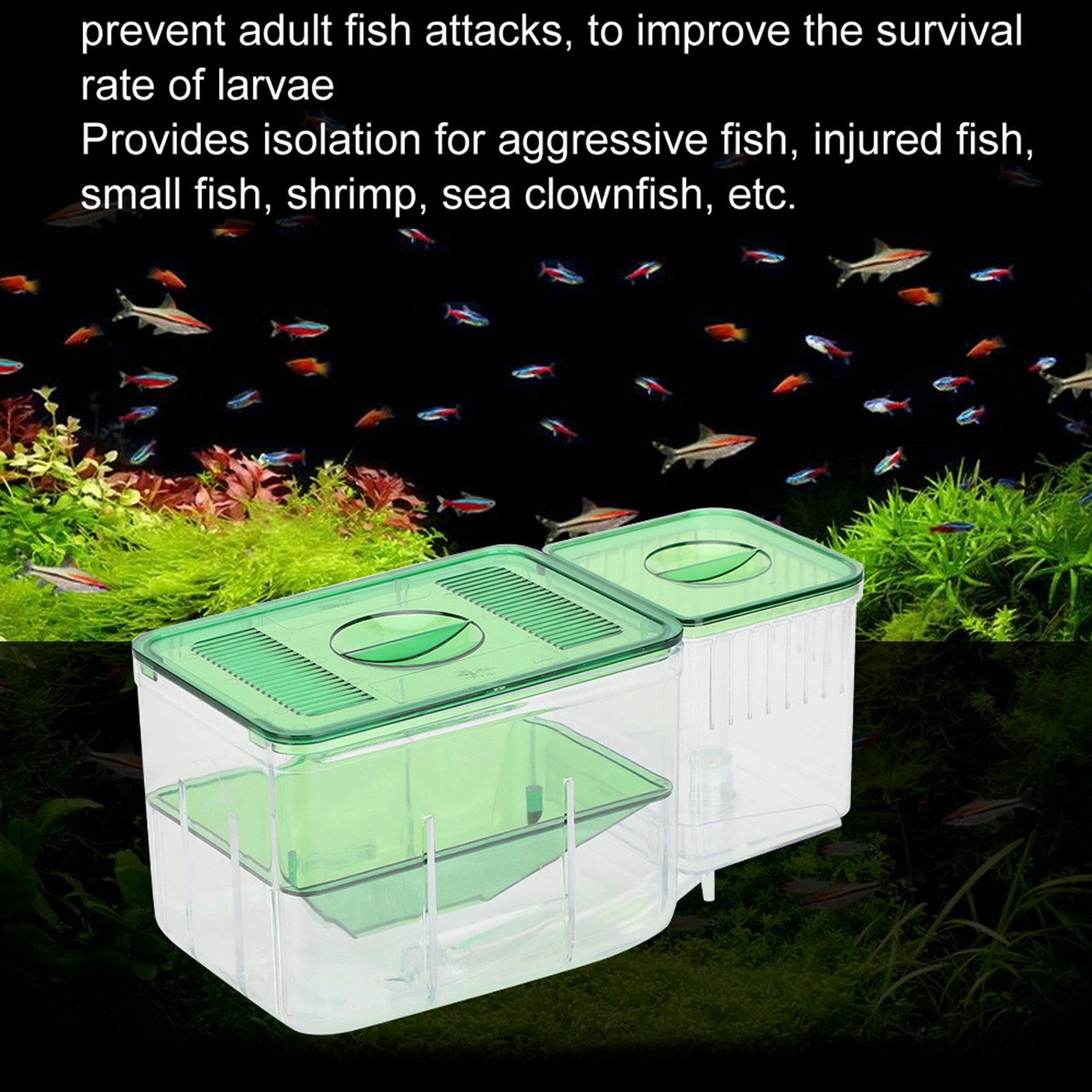 Aquarium Fish Tanks Breeding Box Little Fish Double‑Layer Isolation Incubator For Injured Small Fish Shrimp