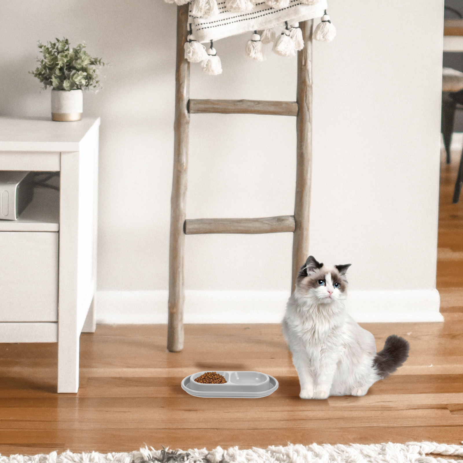 Cat Bowls Anti-Ant for Pets Food Kitten Grey Outdoor Cats Feeder Dog Water No Spill