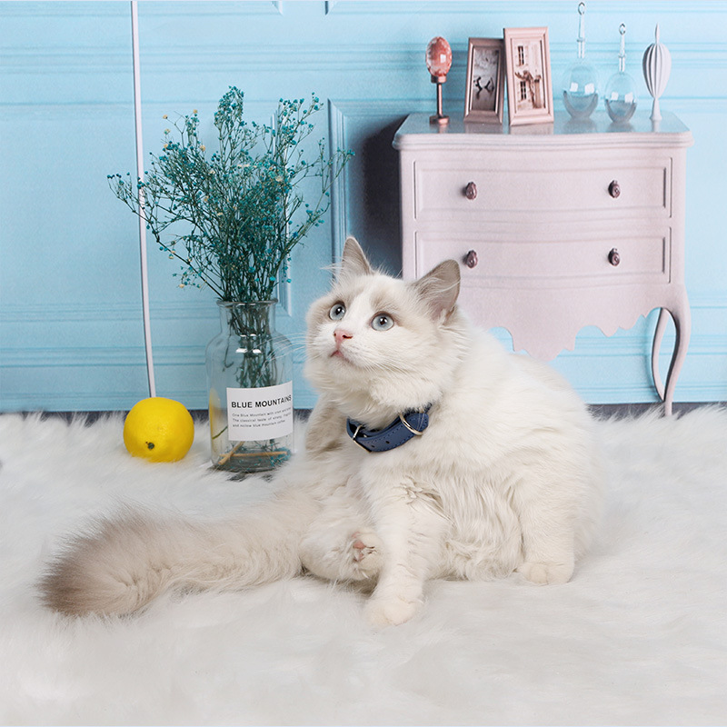 Personalized Custom Pet Collars Free Engraved Labels Leather Dog Collars Adjustable for Large, Medium & Small Dogs Accessories