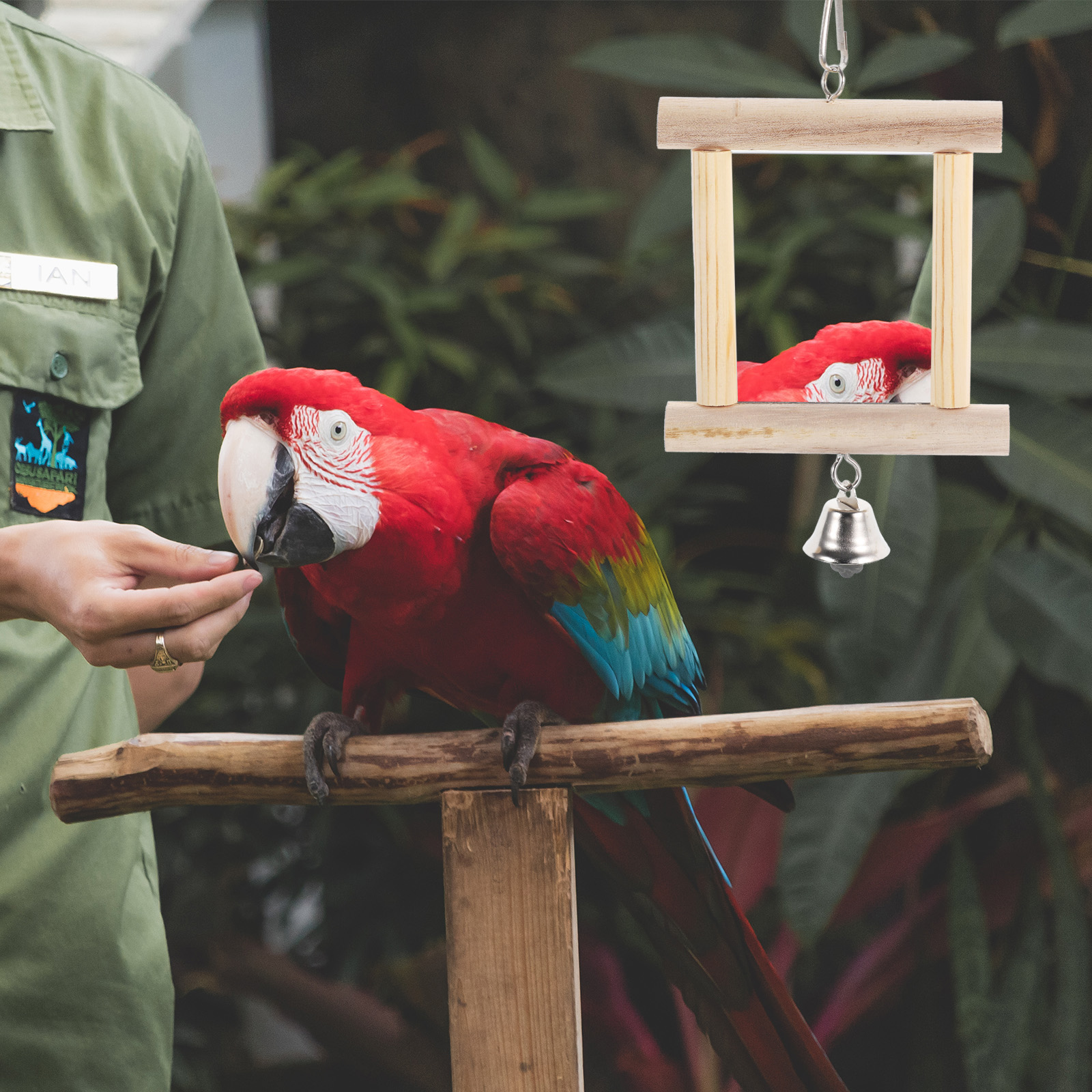 to Weave Parrot Mirror Toy Guinea Pig Accessories Bird Feeder Window Wooden Swing Toys for Parakeets