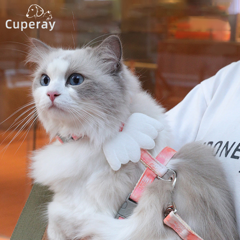 I-beam Cat Leash and Harness Set Adjustable Gradient Color Pet Harness and Leash Set with Wings Decoration To Prevent Breakaway