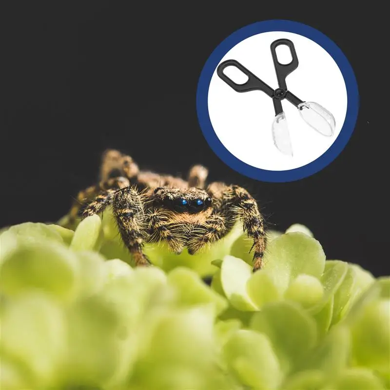 Reptile Terrarium Lizards Plastic Tongs Tweezers Pet Raising Feeding Tool Clip School Insect Biology Study Tool Pet Tools