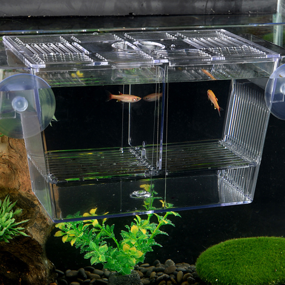 Double-Deck Clear Fish Breeding Isolation Box Aquarium Breeder Fish Tank Hatching Incubator Fish House Home