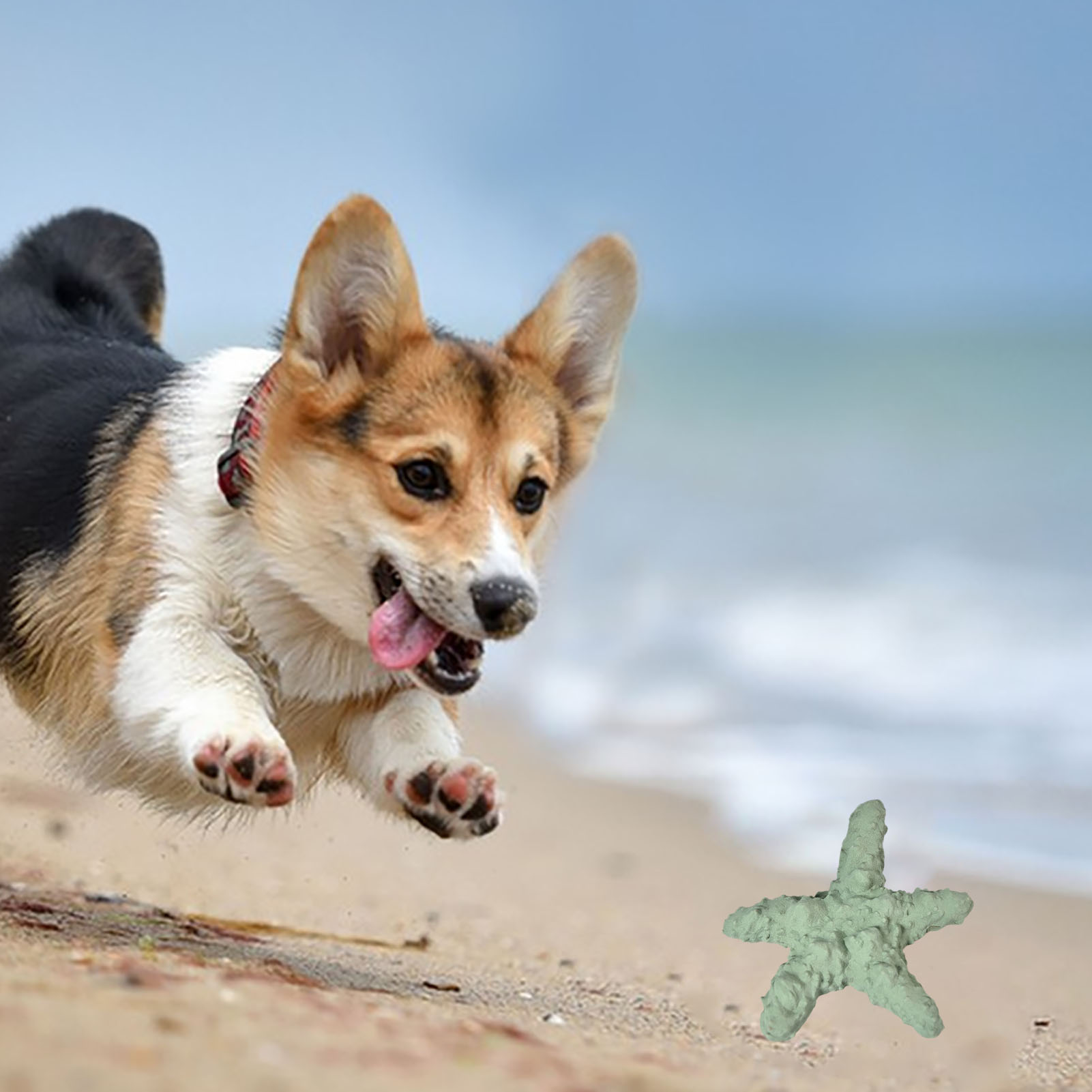 Dog Teething Doll Rubber Cute Starfish Style Soft Bright Colors Gum Massage Dog Chew Toy For Puppy Small Pet