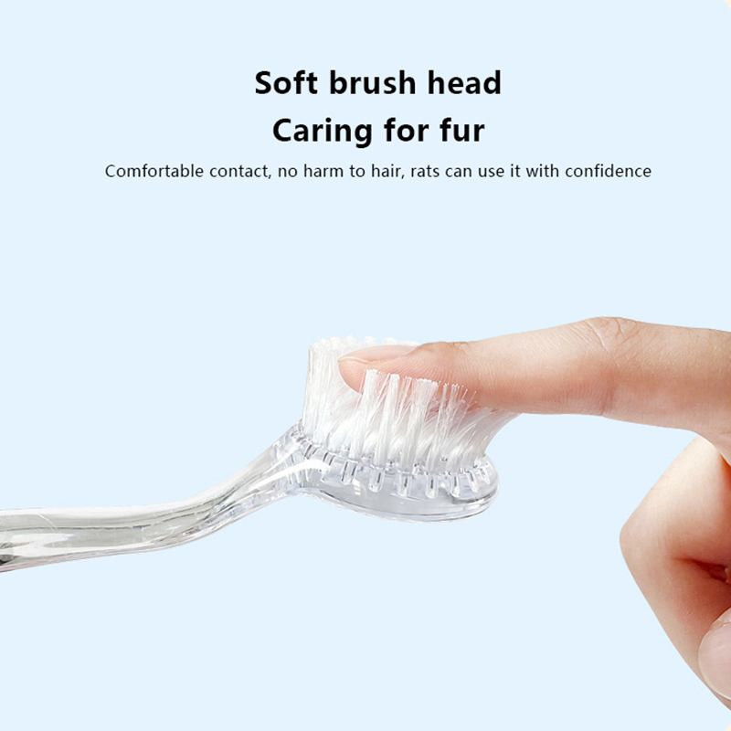 Pet Grooming Brush Guinea Pig Cleaning Tools Hedgehog Massage Bathing Combs Small Animals Cleaning And Beauty Tool Accessories