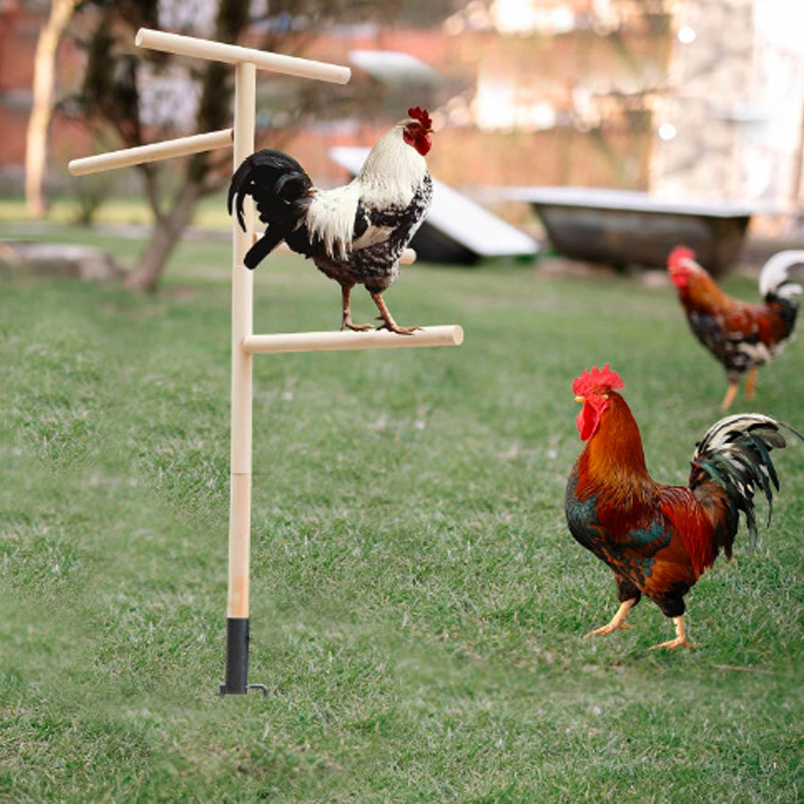 Chick Perch Stand Chicken Perch Toy for Coop Wooden Chicken Roost Stand with Iron Ground Plug Chicken Coop Accessories