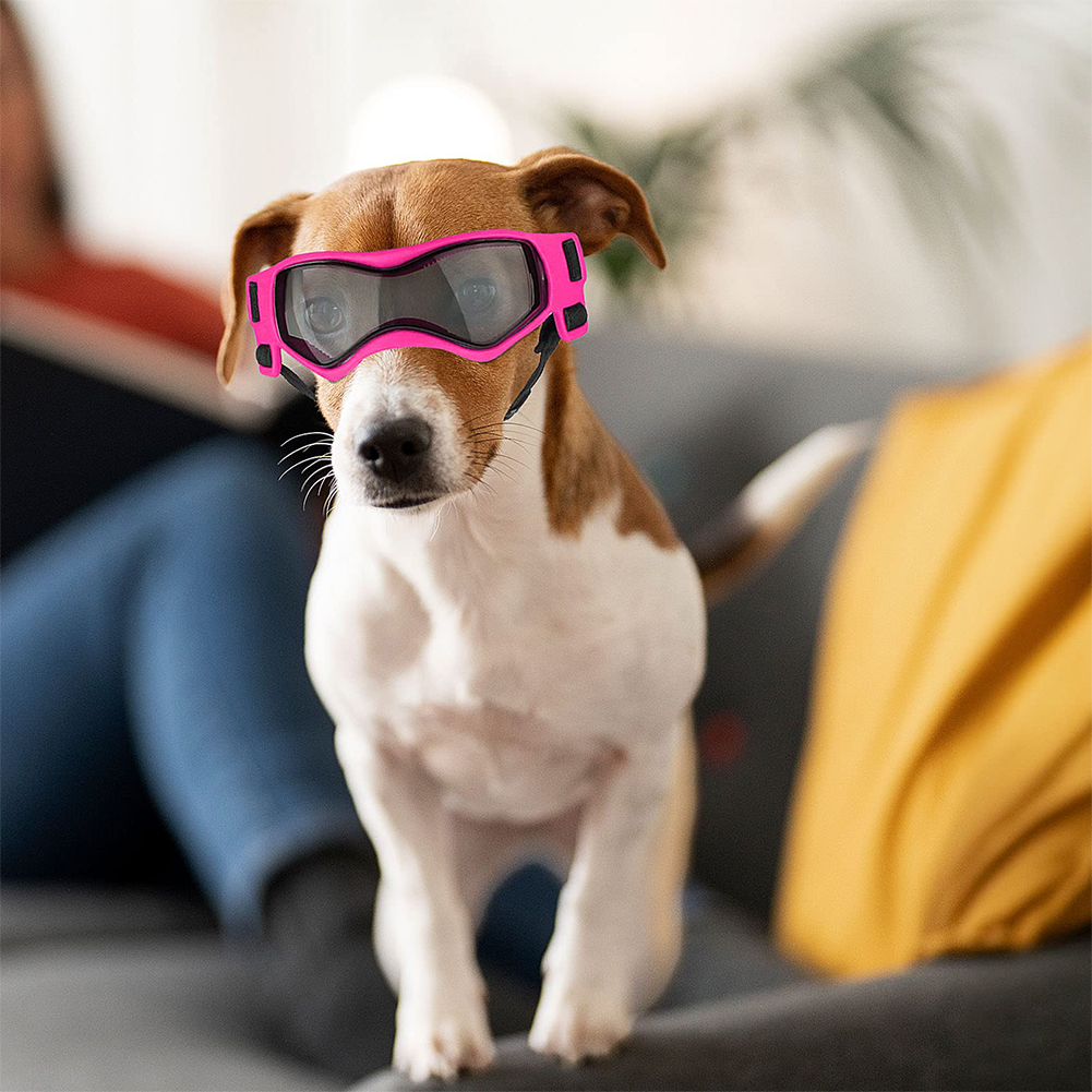 Small Dog Goggles UV Protection Doggy Sunglasses Windproof Antifog Pet Glasses for Small Dogs Cats Eye Wear