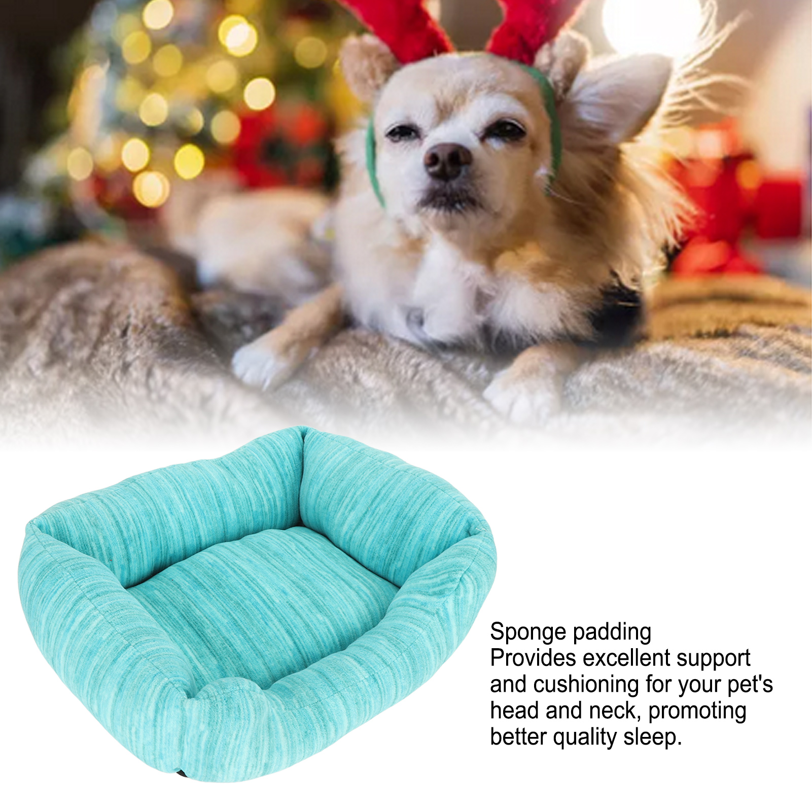 Soft Skin Friendly Flannel Sofa Bed for Puppy, Cat Cusion Bed, Sponge Padding, Sleeping Sofa for Relax Rest
