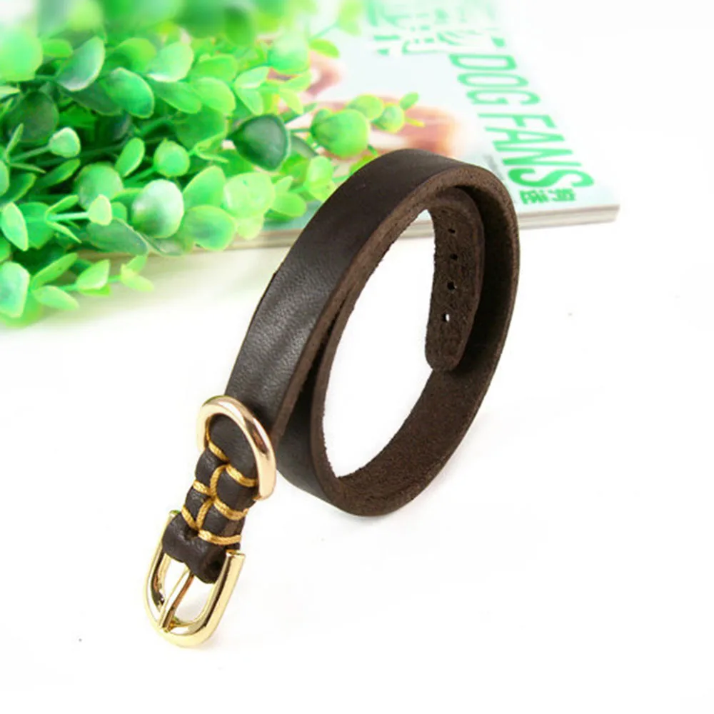 Doggy Leather Collar for Small Dogs Soft Genuine Cowhide Gold Buckle Durable Pet Cat Collars Adjustable for XS Puppy Medium Dogs