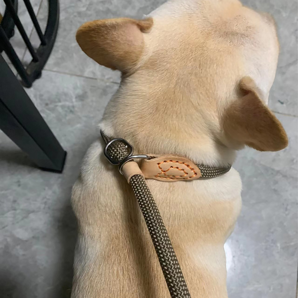 Dog Leash Slip Lead Snap Hook Rope Leash Strong Braided Dog Training Leash No Pull Training Lead Leashes for Medium & Small Dogs