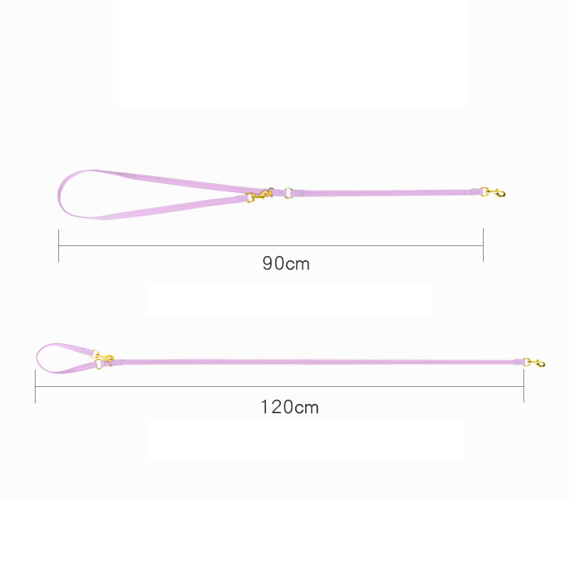 Dog Harness and Leash Set Vest Style Dog Leash Adjustable Small Dog Harness Teddy Cute Pet Supplies for Cats & Puppies Supplies