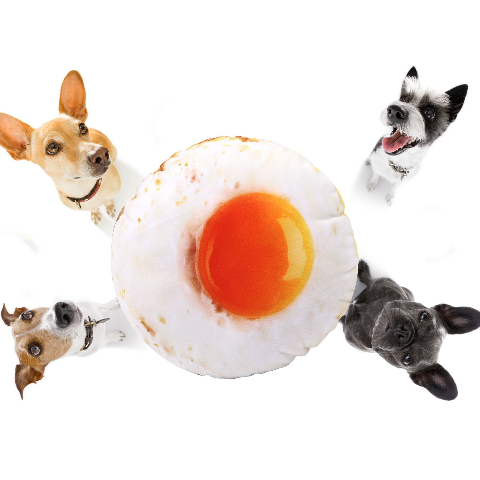 Fried Egg Plush Dog Toys Fun Cute Cartoon 3D Simulation Teeth Grinding Relieve Boredom Pet Chew Toy For Dogs Puppies Pets
