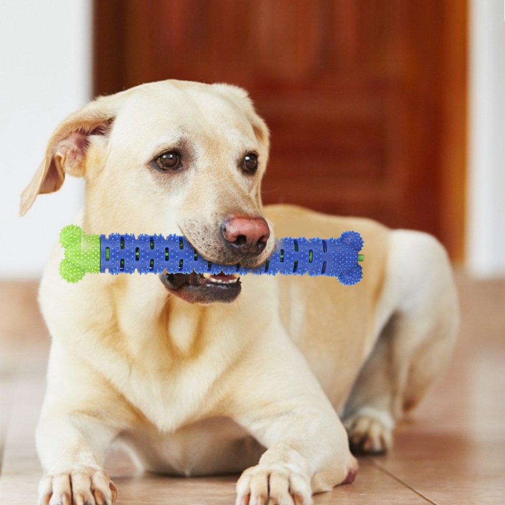 Dogs Puppy Durable Chew Toys Pet Molar Teeth Cleaning Tool Interactive Dog Toothbrush Toy for Small Dogs Toy Dental Mascotas