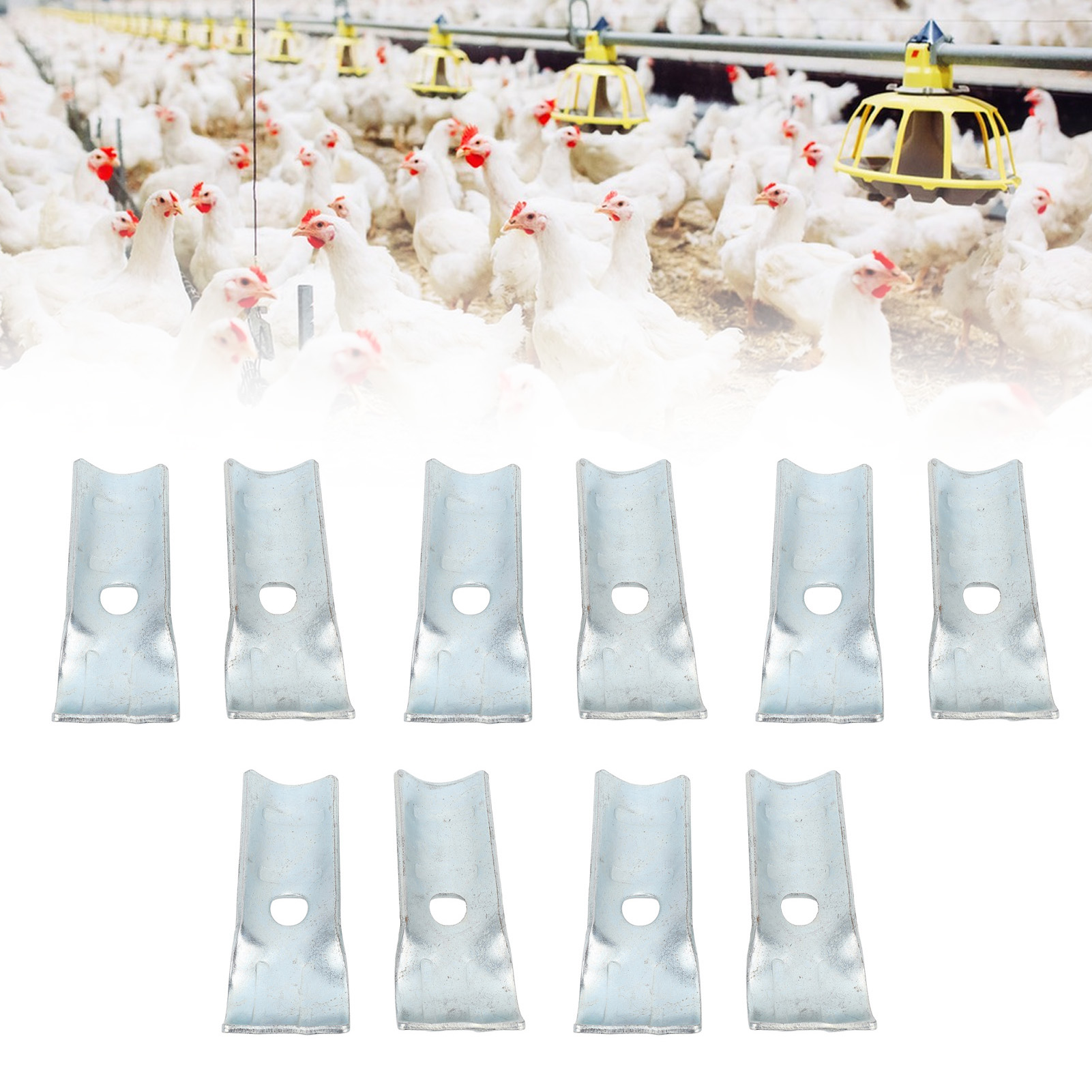 Water Pipe Fixing Clamp, Poultry Chicken, Water Supply Pipes Clips, Line Hanger Hooks for Farm Breeding, 5 Sets