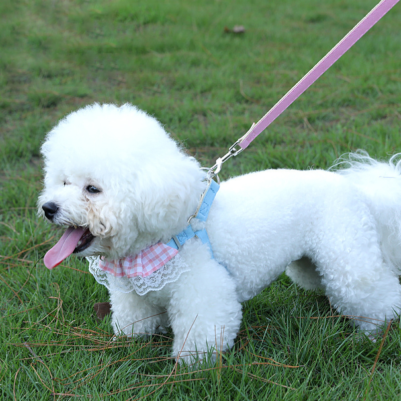 Cat Leash and Harness Set Adjustable Dog Harness 150cm Dog Leash with Lace Trim Comfortable Breathable Mesh for Cats and Puppies