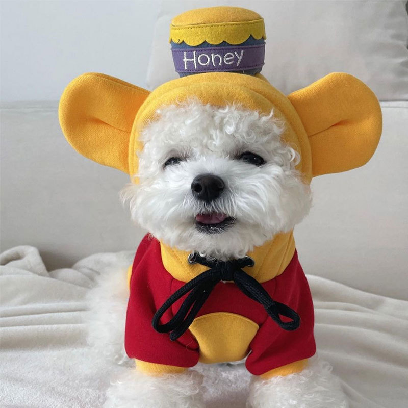 2022 Warm Cute Dog Outfit Clothes Hoodie for Small Medium Dogs Cats Chihuahua Bulldog Yorkies