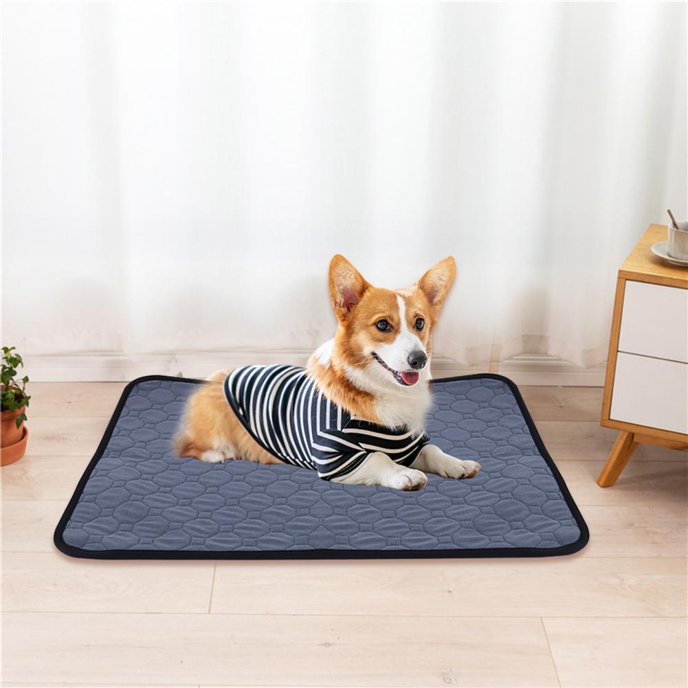 Pet Pee Pad Machine Washable Water Absorbent Anti-slip Leakproof Reusable Dog Puppy Potty Training Whelping Mat Pet Supplies - view 3
