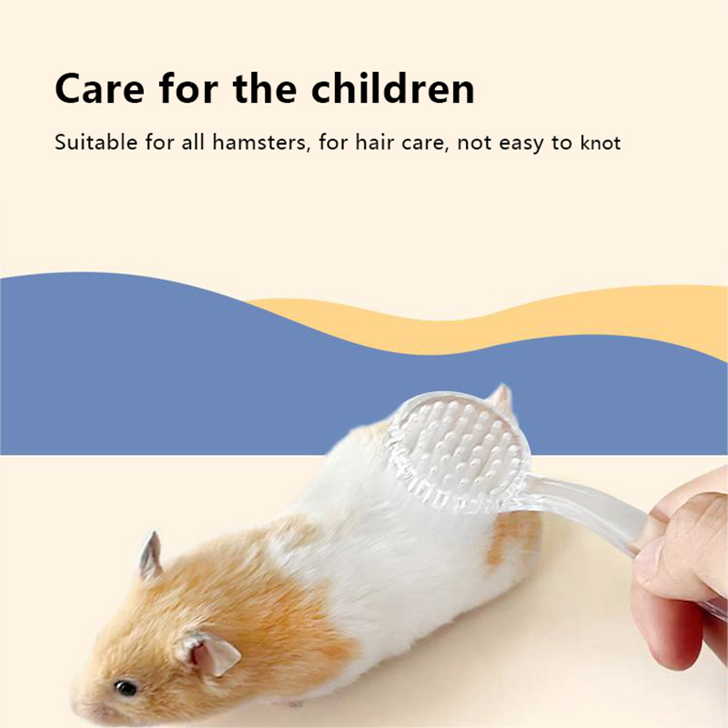 Pet Grooming Brush Guinea Pig Cleaning Tools Hedgehog Massage Bathing Combs Small Animals Cleaning And Beauty Tool Accessories