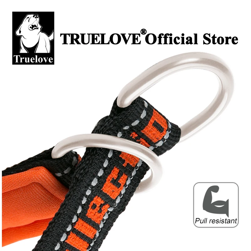 Truelove Neoprene Padded Dog Collar – Comfort and Protection TLC5371