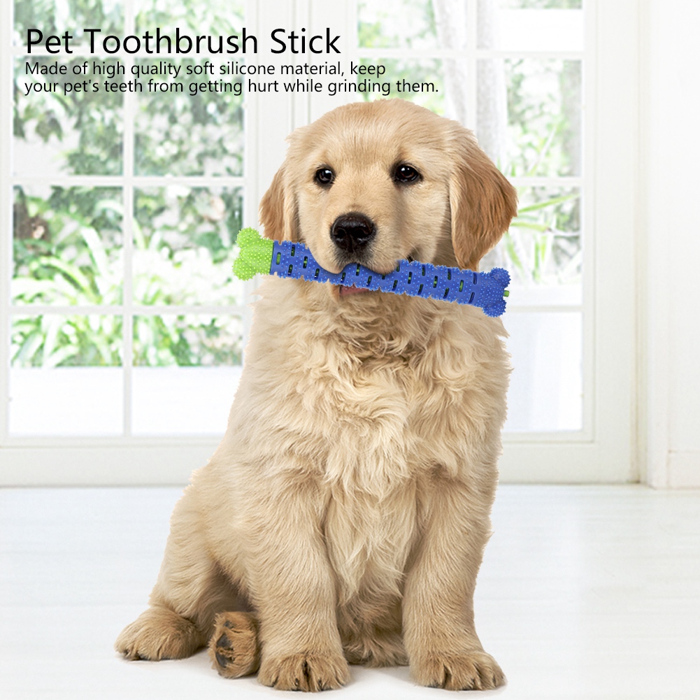 Dogs Puppy Durable Chew Toys Pet Molar Teeth Cleaning Tool Interactive Dog Toothbrush Toy for Small Dogs Toy Dental Mascotas