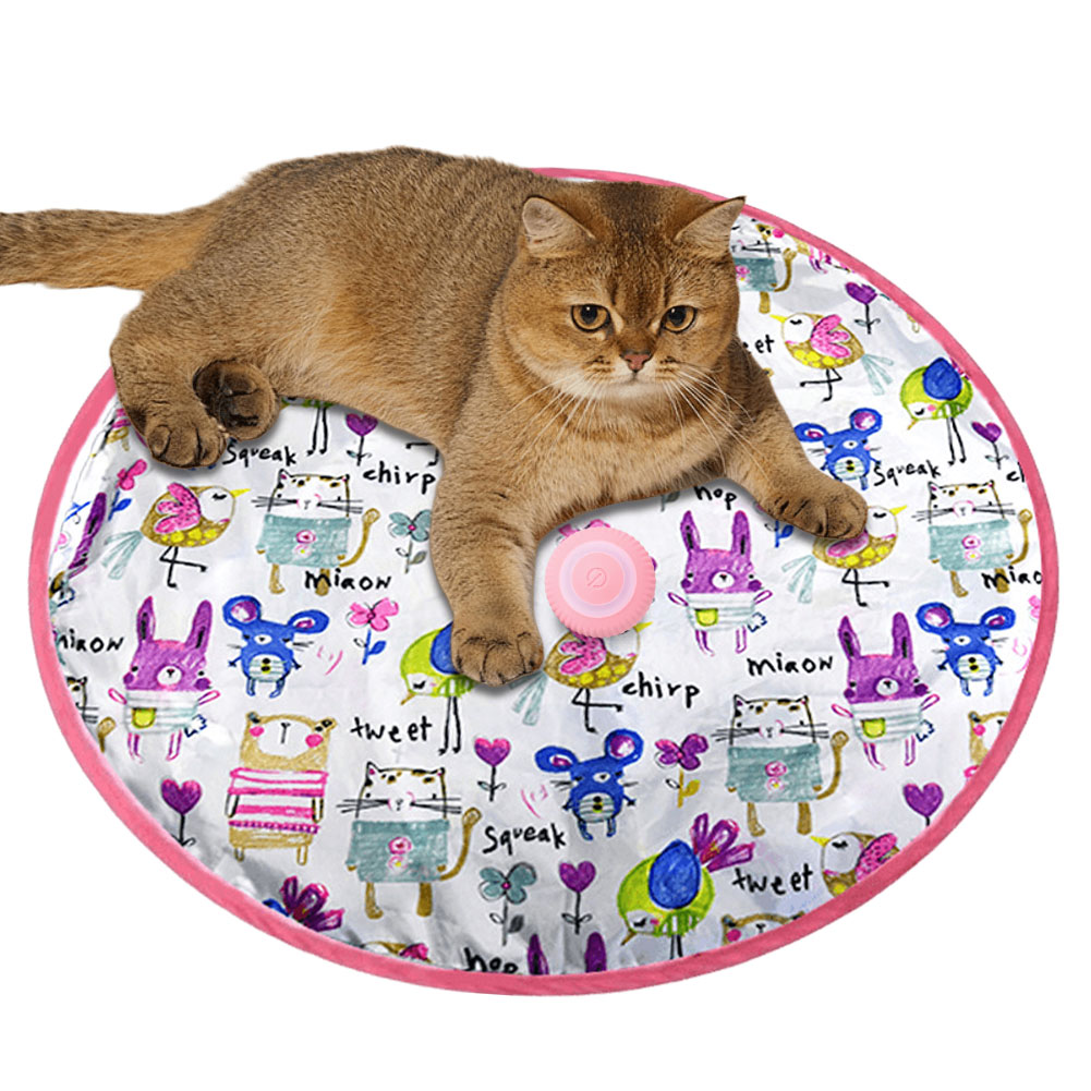 Hide and Seek Cat Toy 2 in 1 Simulation Cat Hunting Toy Funny Paw Hunting Cat Toy Cat Play Mat for Indoor Cats