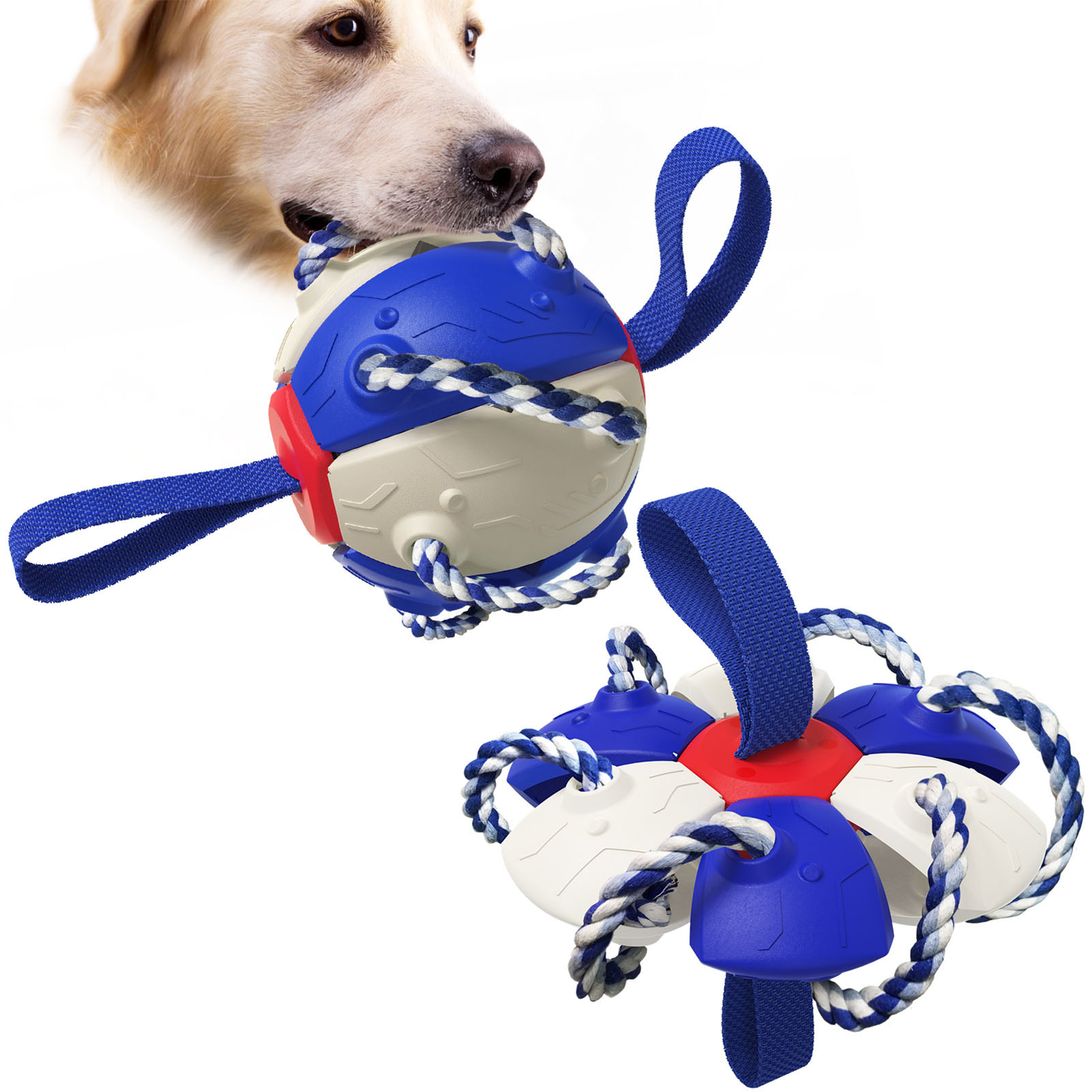 Interactive Dog Toy Portable Multifunctional Entertaining Outdoor Dog Training Toy For Puppy Small Big Dogs