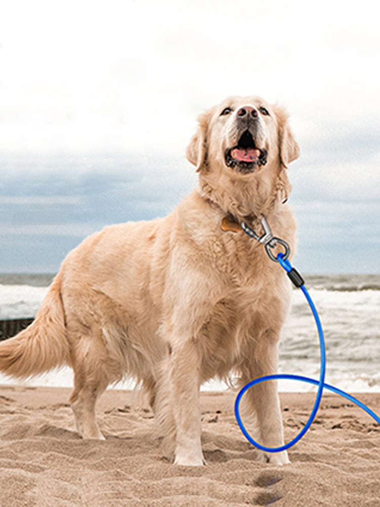 Heavy Duty Metal Dog Chain Alloy Large Dog Tie Out Cable with Shock Absorbing Spring Steel Wire six color Rope for Camping