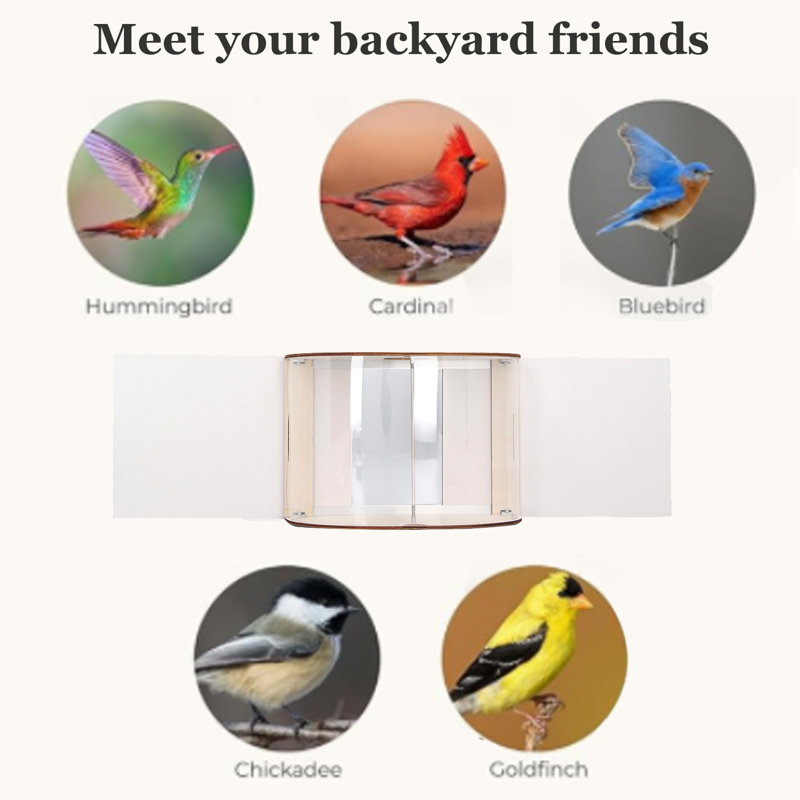 Window Bird Feeder Inside House, Rain Proof, Adjustable Inlet, Stable 180 ° Clear View, Feeder for Bird Watching