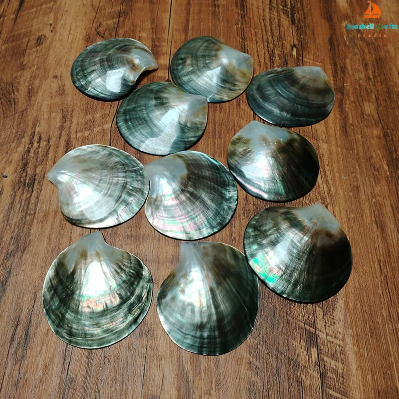 2 PC Black Mother of Pearl Shells Polished Pinctada Margarilifera Sea Shell Handmade Creative DIY Jewelry Beads Caviar Container 240907
