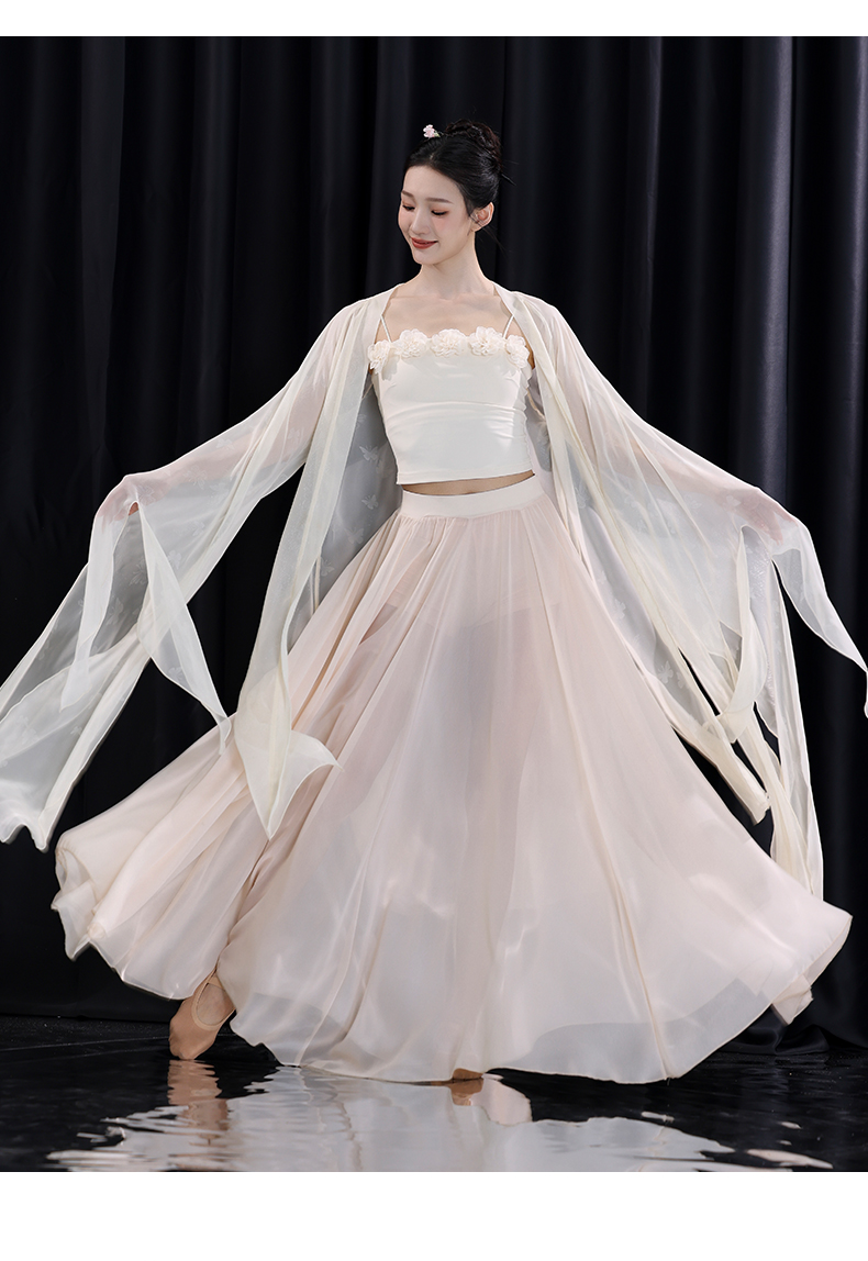 Hanfu Classical Dance Costume for Women Flowing Chiffon Top, Traditional Chinese Performance Wear