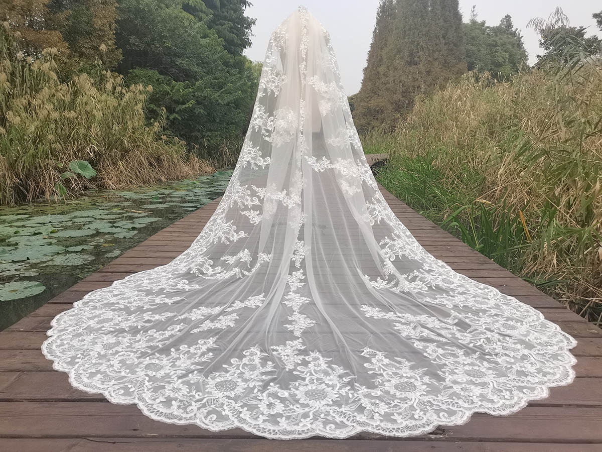 Gorgeous Wedding Veil Appliques One Layer Long Cathedral Length Bridal Veils Applique Edge Wedding Accessories Custom Made