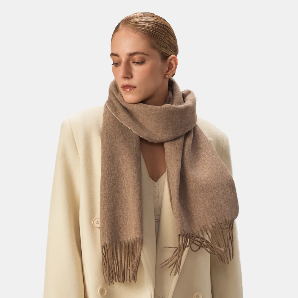 Classic Solid Colors Scarves Cashmere Soft Lamb Wool Scarf Long Tassel Neck Warmer Winter Scarf Female Winter Fashion Scarf 240909