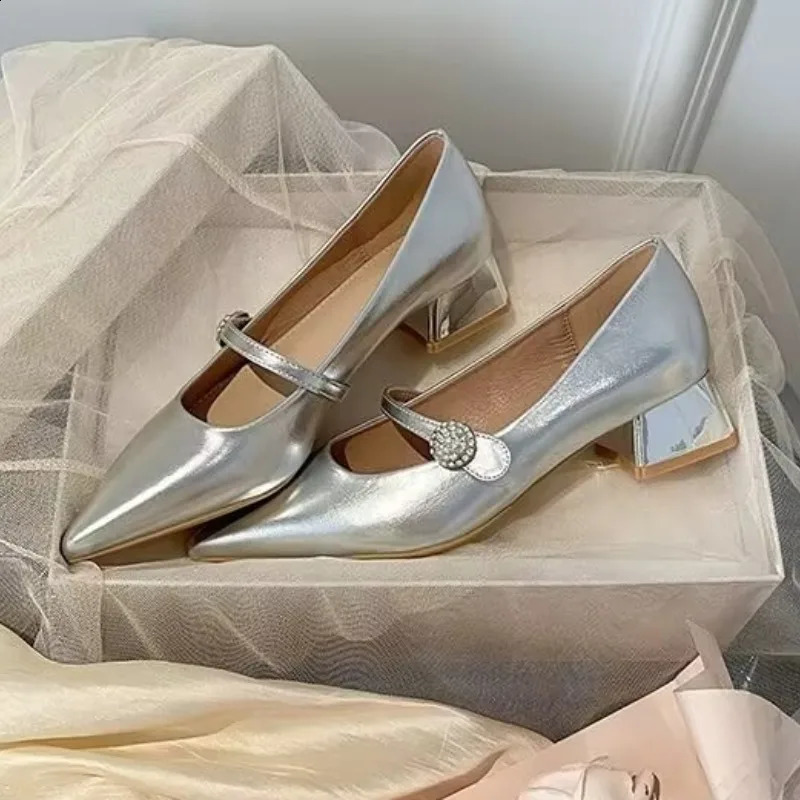 2025 new Pointed Toe Women Spring Sier Mary Jane Low Heel Dress Shoes Simple Versatile Womens Pumps 240904
