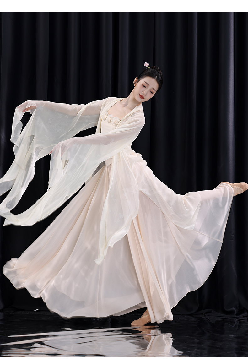 Hanfu Classical Dance Costume for Women Flowing Chiffon Top, Traditional Chinese Performance Wear