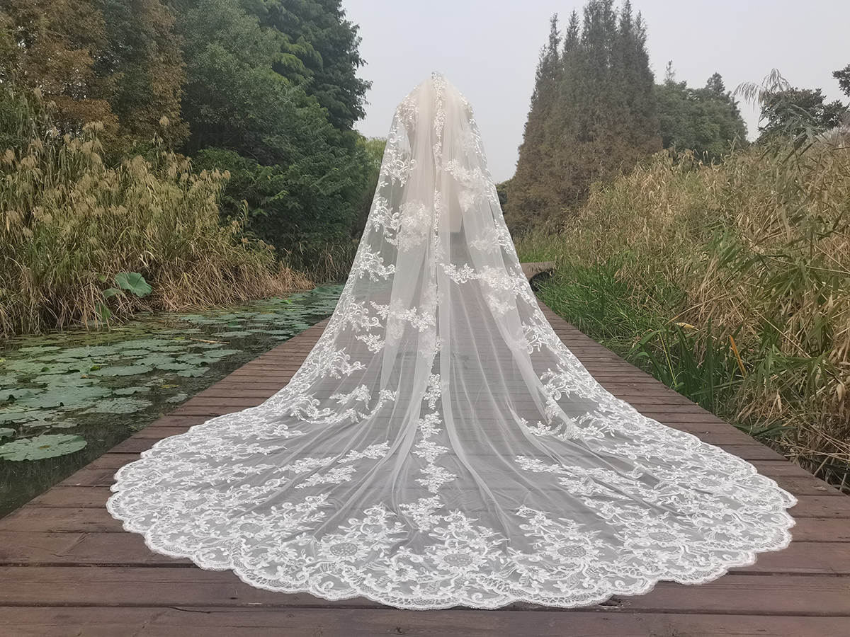 Gorgeous Wedding Veil Appliques One Layer Long Cathedral Length Bridal Veils Applique Edge Wedding Accessories Custom Made