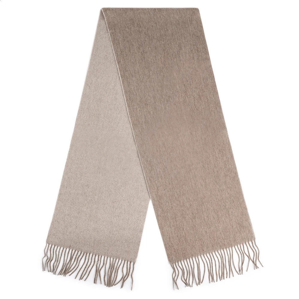 Classic Solid Colors Scarves Cashmere Soft Lamb Wool Scarf Long Tassel Neck Warmer Winter Scarf Female Winter Fashion Scarf 240909