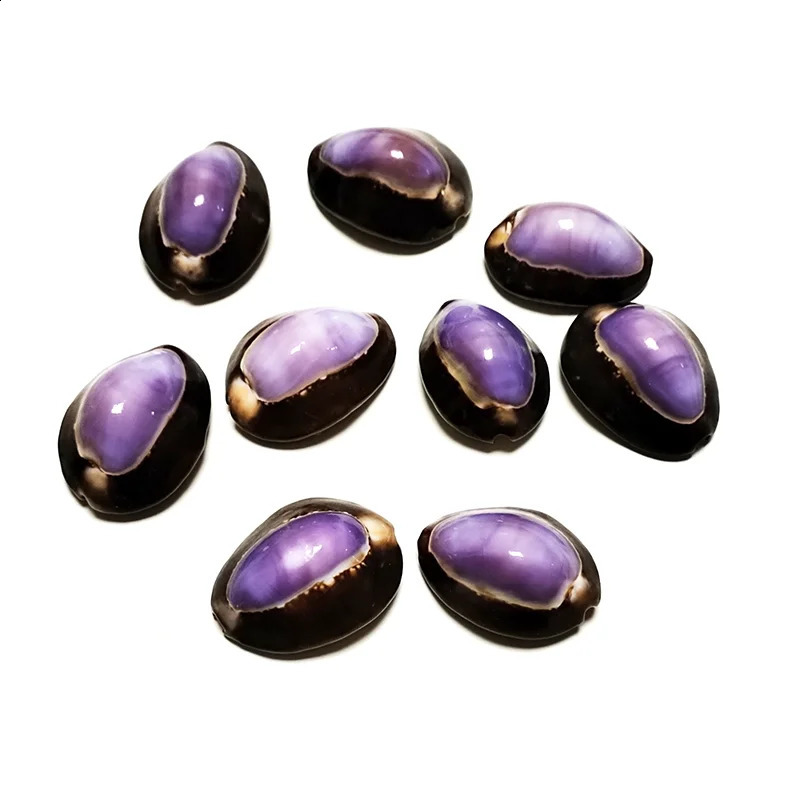 10 Pcs Purple Top Cowrie Shells Natural Purple Caput Seashell Conch Jewelry Pendant Charms Beach DIY Home Decoration Fish Tank 240907