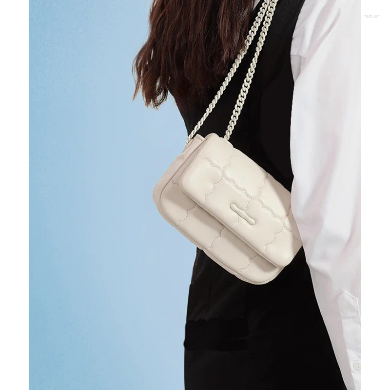 Totes 2024 Niche Chain Bag Women's Summer Fashion Shoulder Crossbody Small Fragrance Ins 4