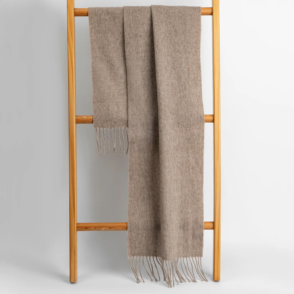 Classic Solid Colors Scarves Cashmere Soft Lamb Wool Scarf Long Tassel Neck Warmer Winter Scarf Female Winter Fashion Scarf 240909