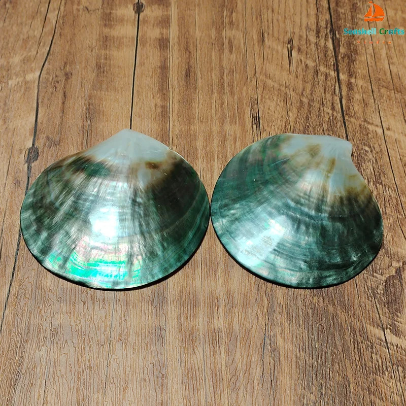 2 PC Black Mother of Pearl Shells Polished Pinctada Margarilifera Sea Shell Handmade Creative DIY Jewelry Beads Caviar Container 240907