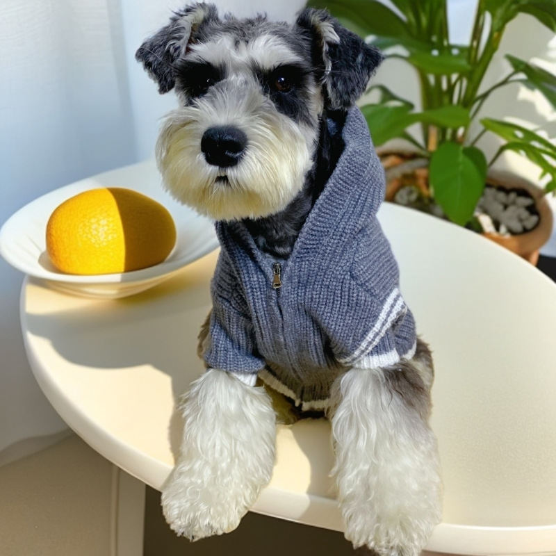 Collegial Style Dog Hoodie Luxury Dog Apparel With Hearts Applique Soft Warm Dogs Sweater Classic Pet Casual Wear Clothes Fashion Winter Cardigan Knit