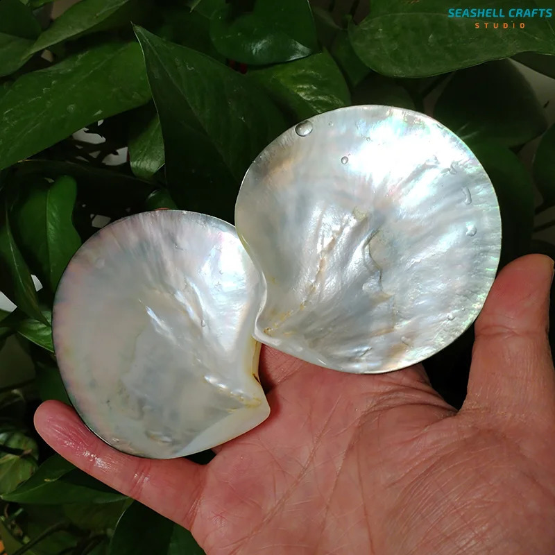 2 PC Black Mother of Pearl Shells Polished Pinctada Margarilifera Sea Shell Handmade Creative DIY Jewelry Beads Caviar Container 240907