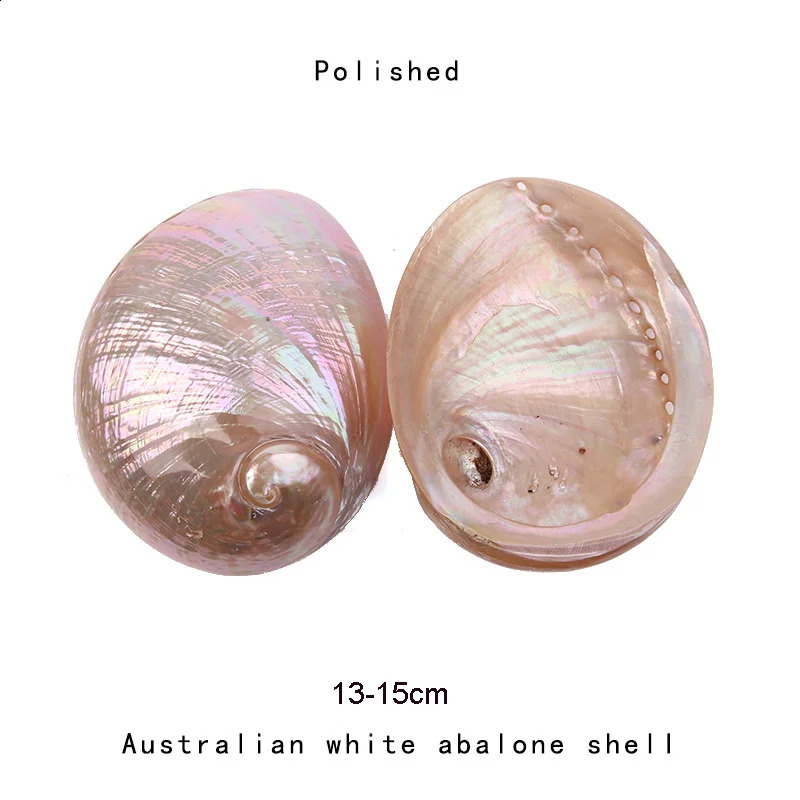 11-13CM Polished Natural Paua Abalone Shell Sage Smudge Kit with Tripod Stand Sustainably Collected - for Smudging Home Decor 240907